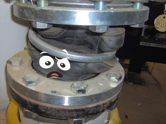 Joint installed between two misaligned flanges
