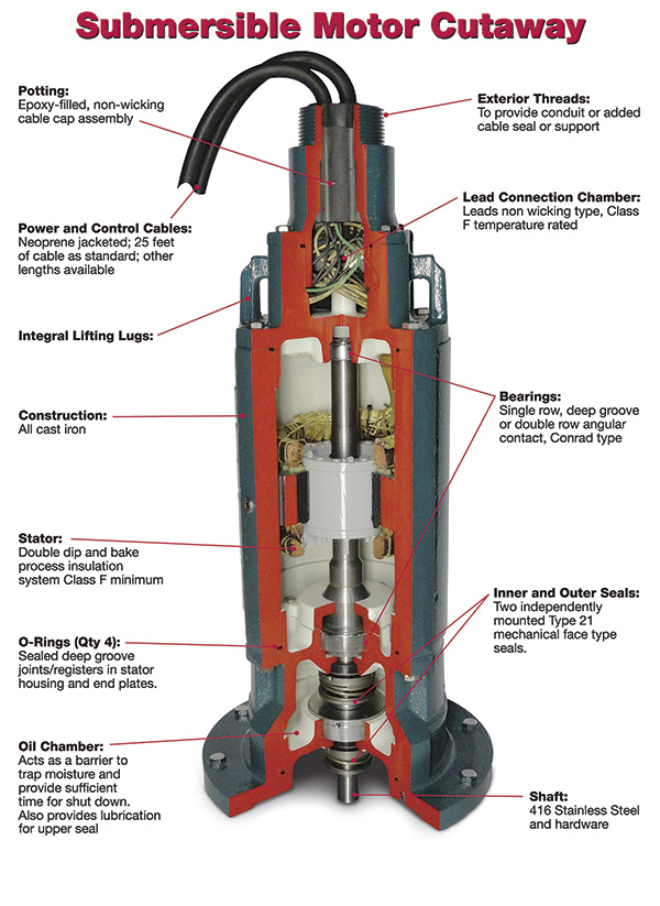 Submersible motor cutaway