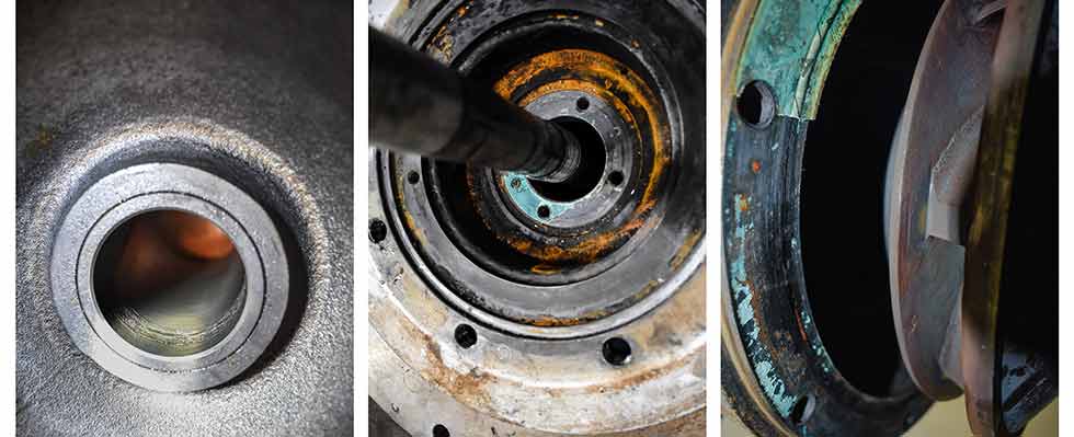 The damage could be found on the bearings, the shaft, impellers