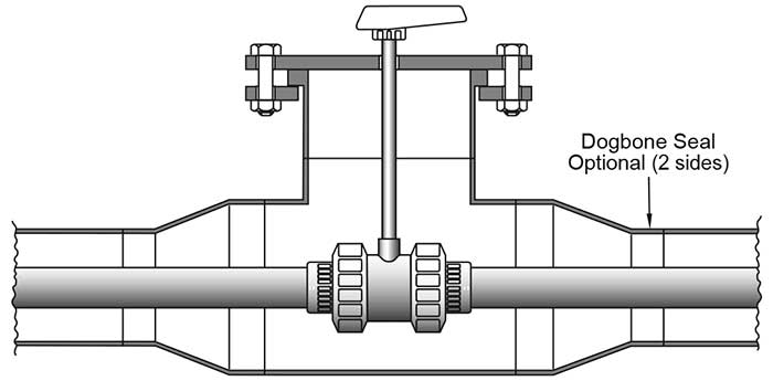Double-containment ball valve with stem extension
