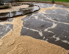 Activated sludge process at a wastewater treatment plant